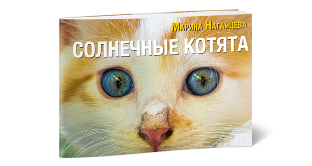 Обложка книжки "Солнечные котята"